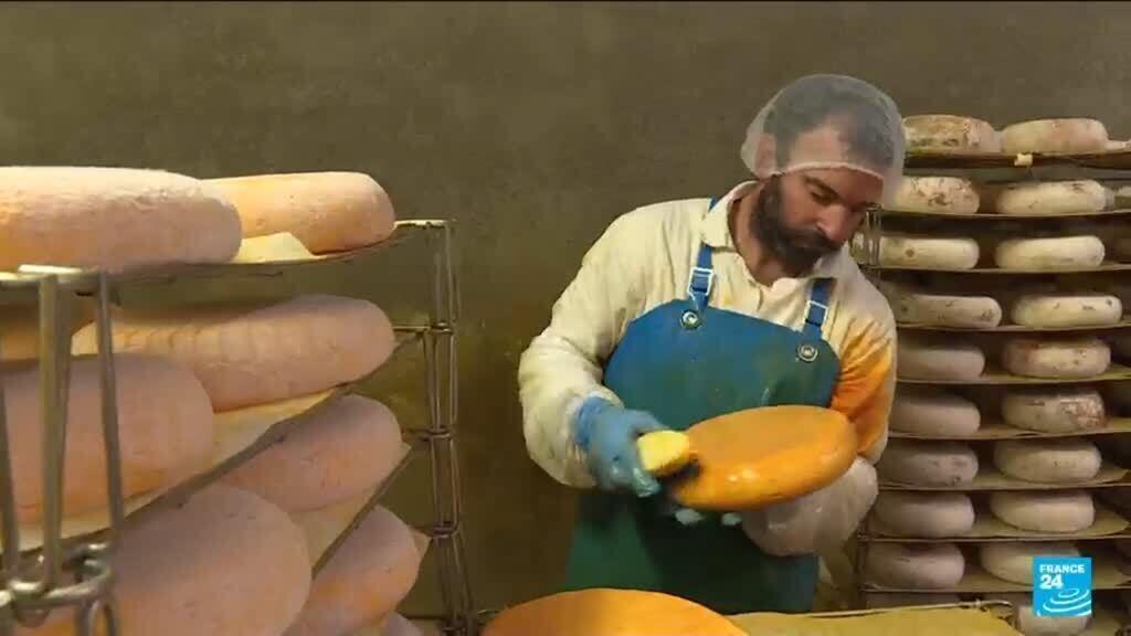 فرنسا تواجه أزمة جفاف تهدد صناعة الجبن