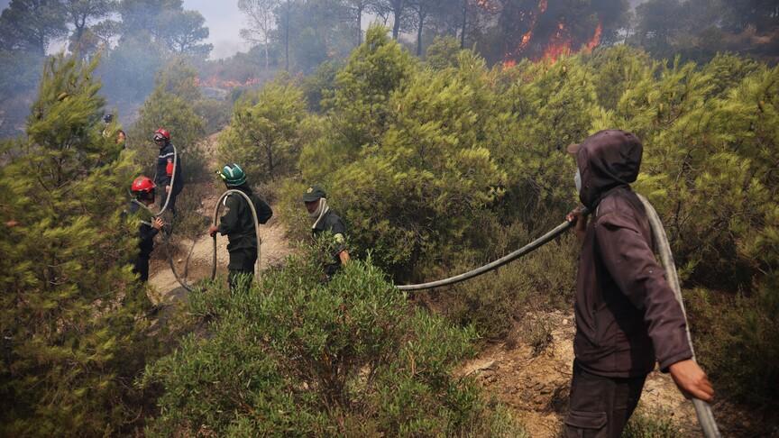 الجزائر تواجه 58 حرائق تفوق 21 منها تحت السيطرة